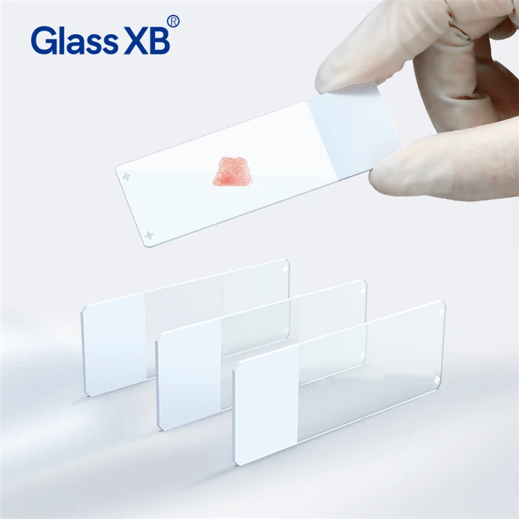 Glassware Slides Attach Glass Slides factory