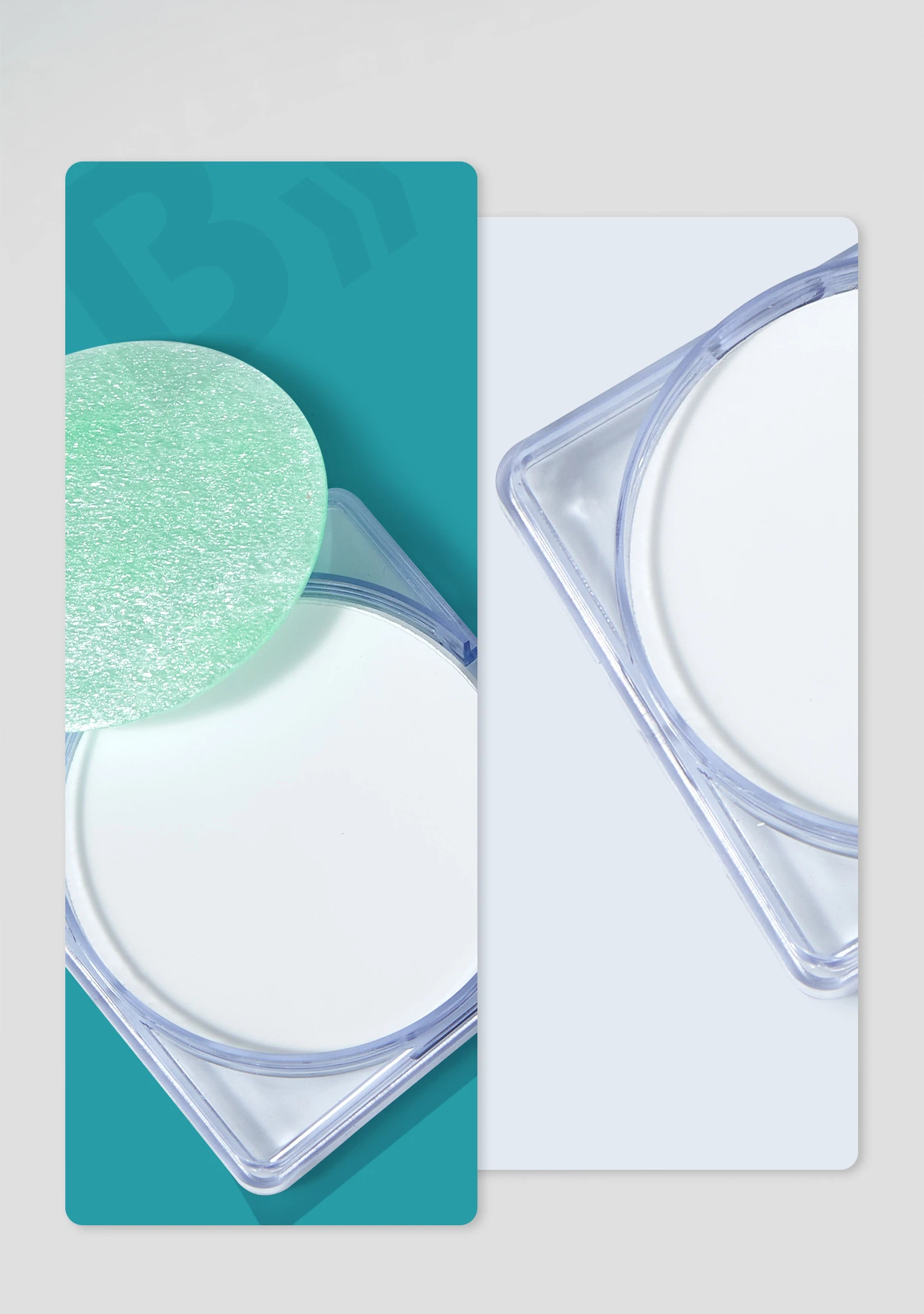 -081 -081